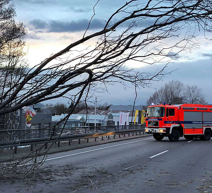 Baum droht zu kippen, Feuerwehrfahrzeug steht auf gesperrter Straße
