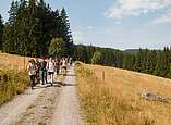 Wanderung durch den Schwarzwald